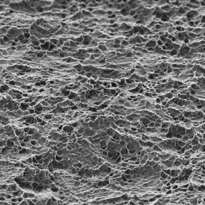 Bionnovation-1-24 - cópia