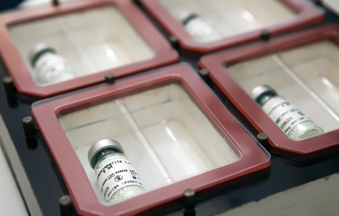 Quem Somos 21 NandaFerreira_20120612_bionnovation_022